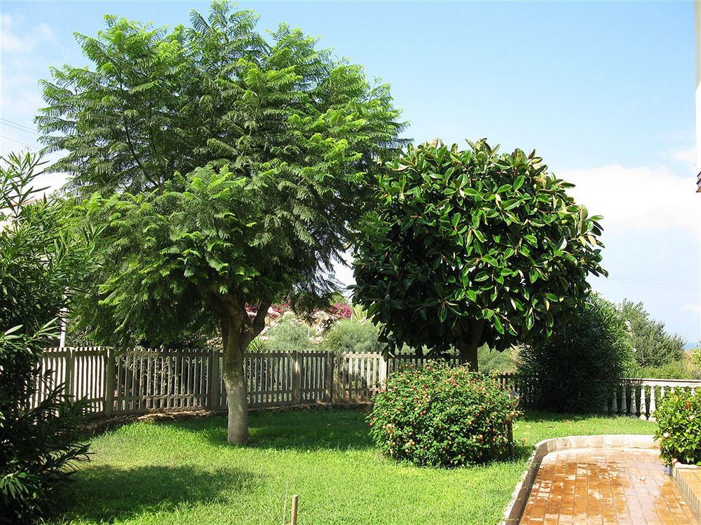 My Villa Eden Torre Ruffa Exterior foto